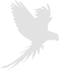 alt.mauijim.brand.logo