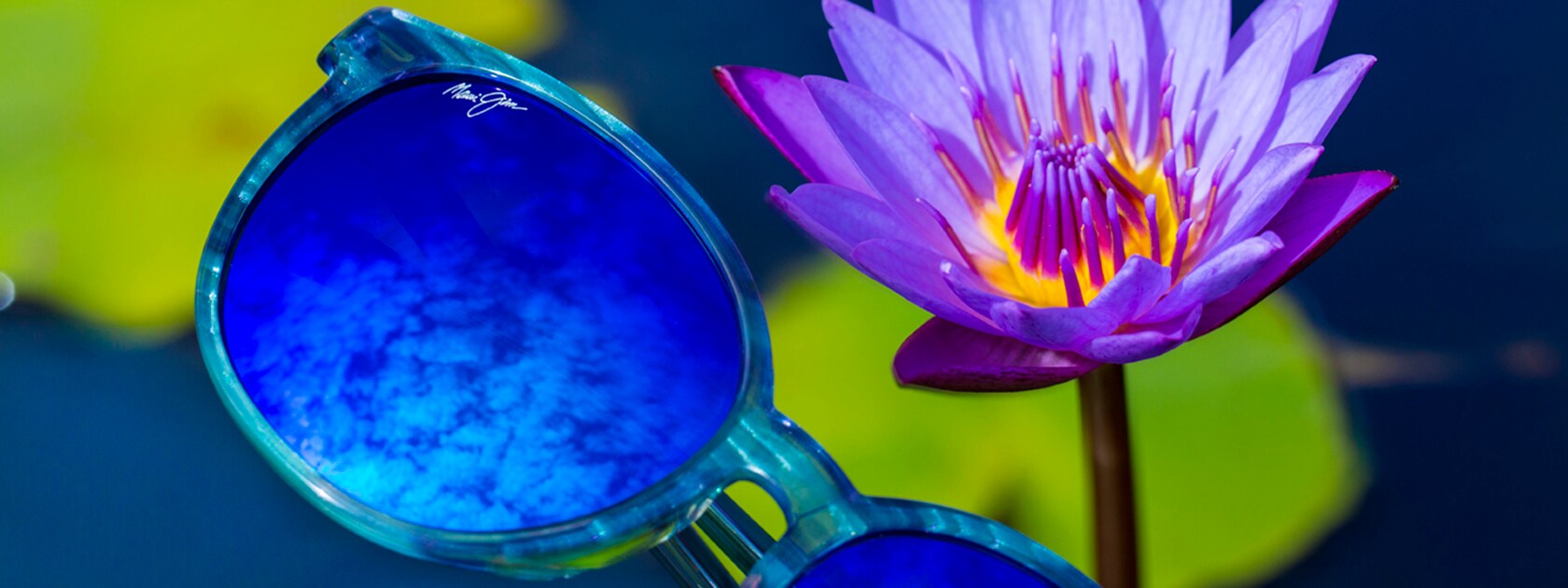 Water Lily Product Hero