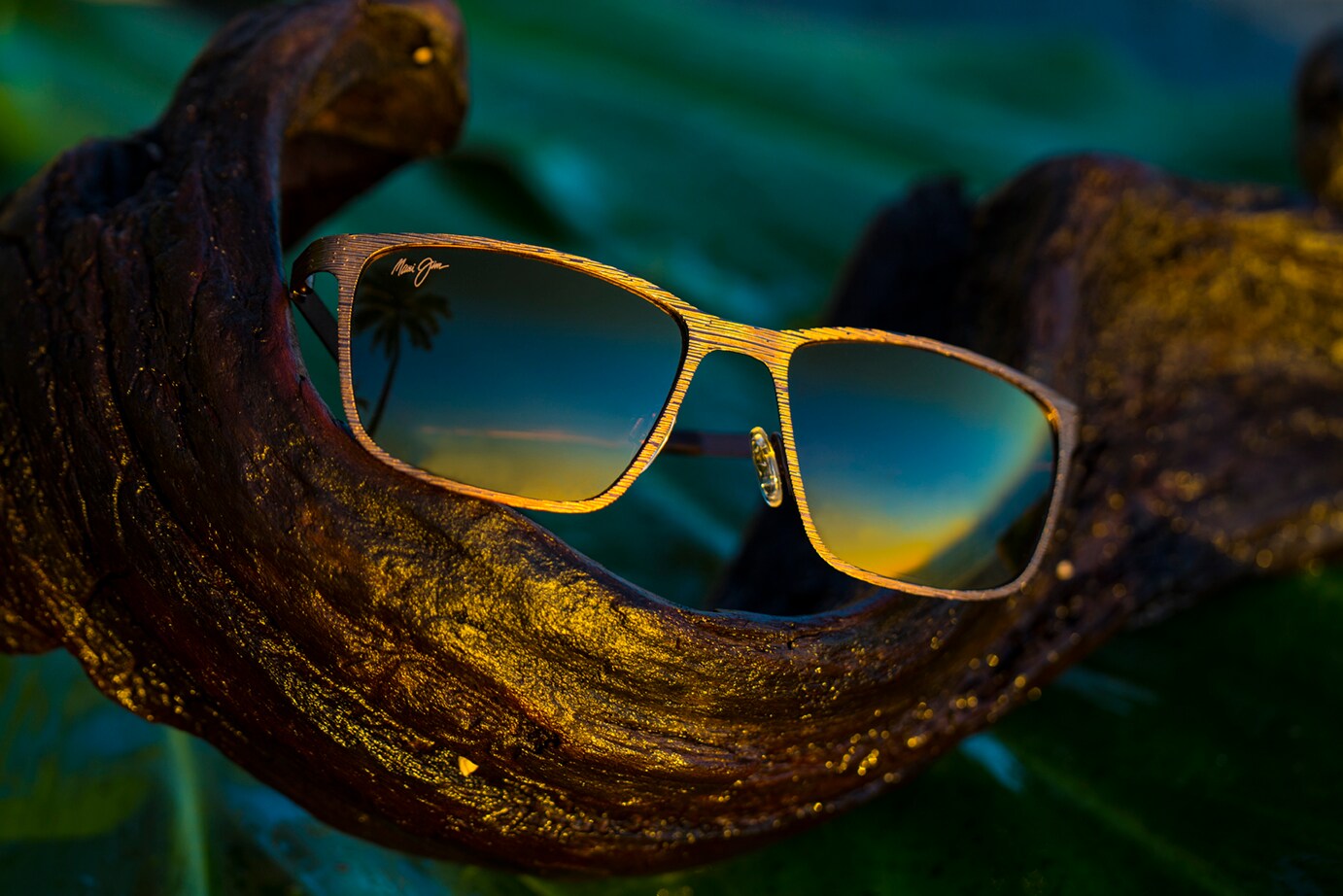 Cut Mountain Sunglasses on Tree Branch