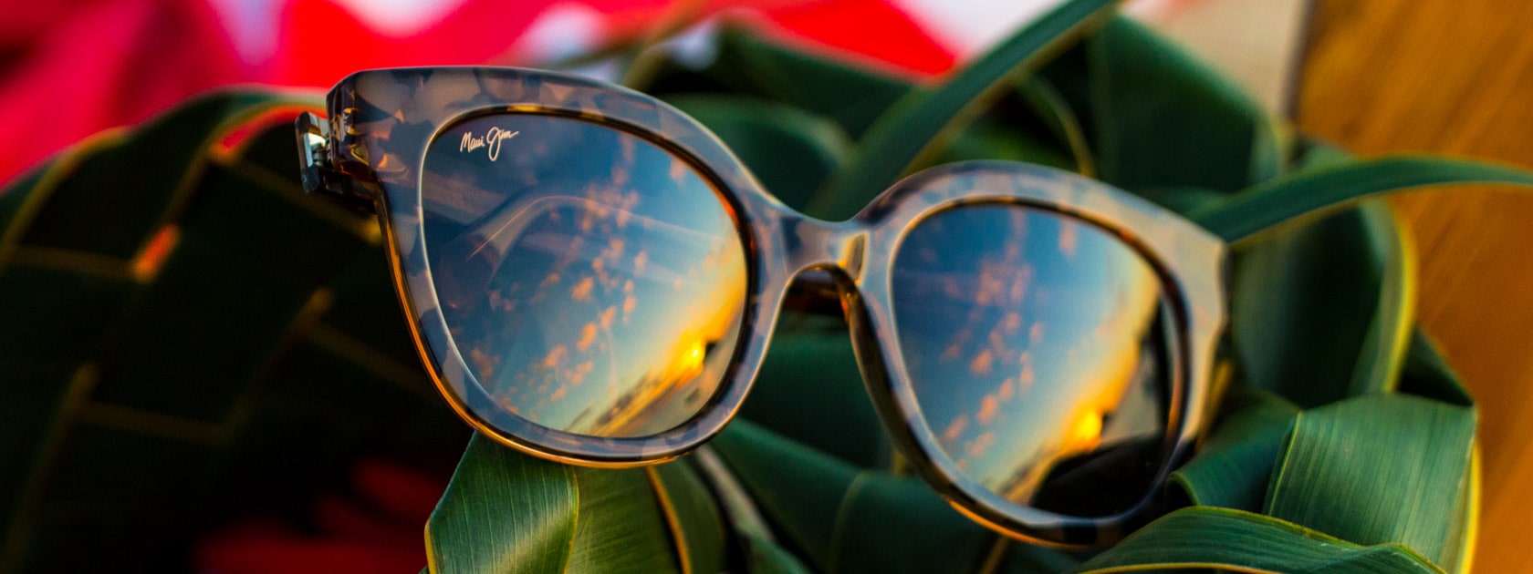 tortoise frame sunglasses with sky reflection on lenses displayed over green leaves