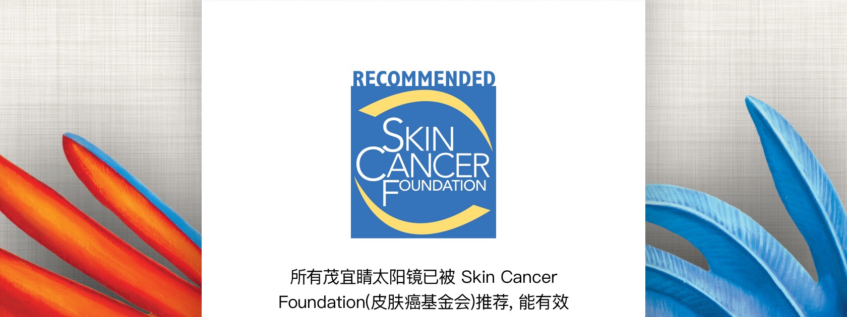 skin cancer foundation notificaiton in chinese