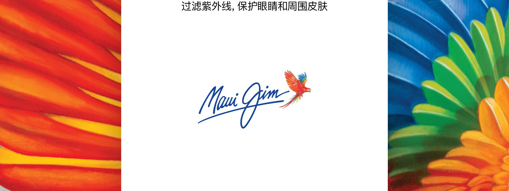 skin cancer foundation notificaiton in chinese