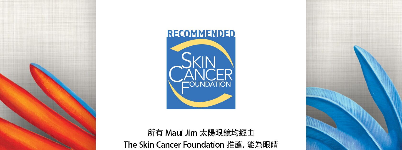 skin cancer foundation notificaiton in chinese