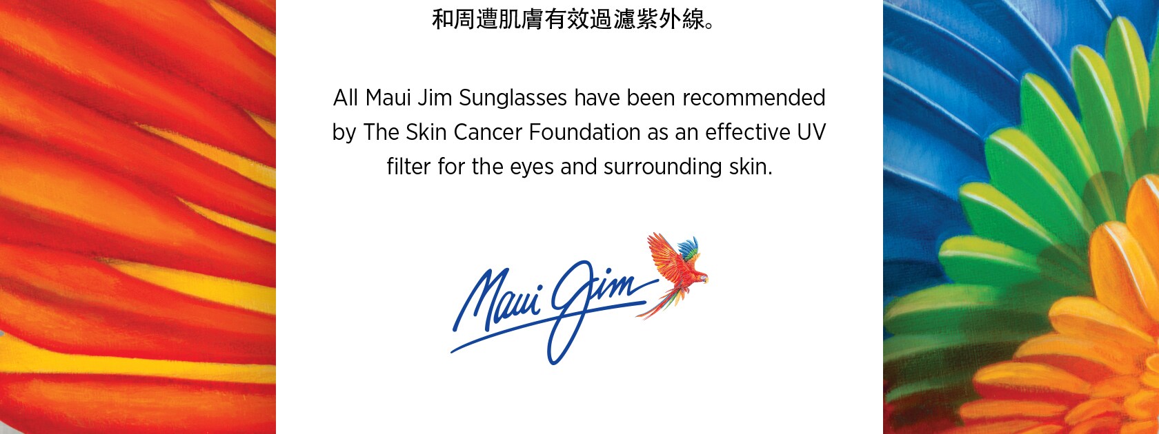 skin cancer foundation notificaiton in chinese