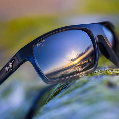lentes de sol con el reflejo del cielo en los cristales exhibidos en una rama de un árbol con musgo