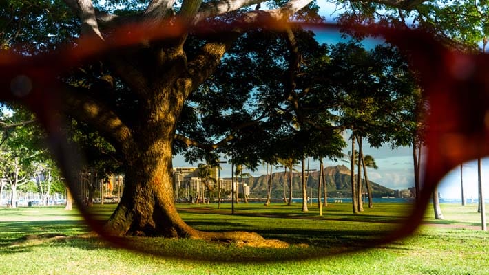 Blick durch Sonnenbrille im Park mit Bäumen und Gebäuden in der Ferne