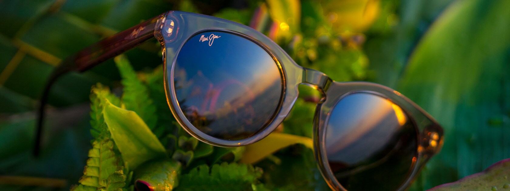 smoke gray frame sunglasses displayed on green leaves