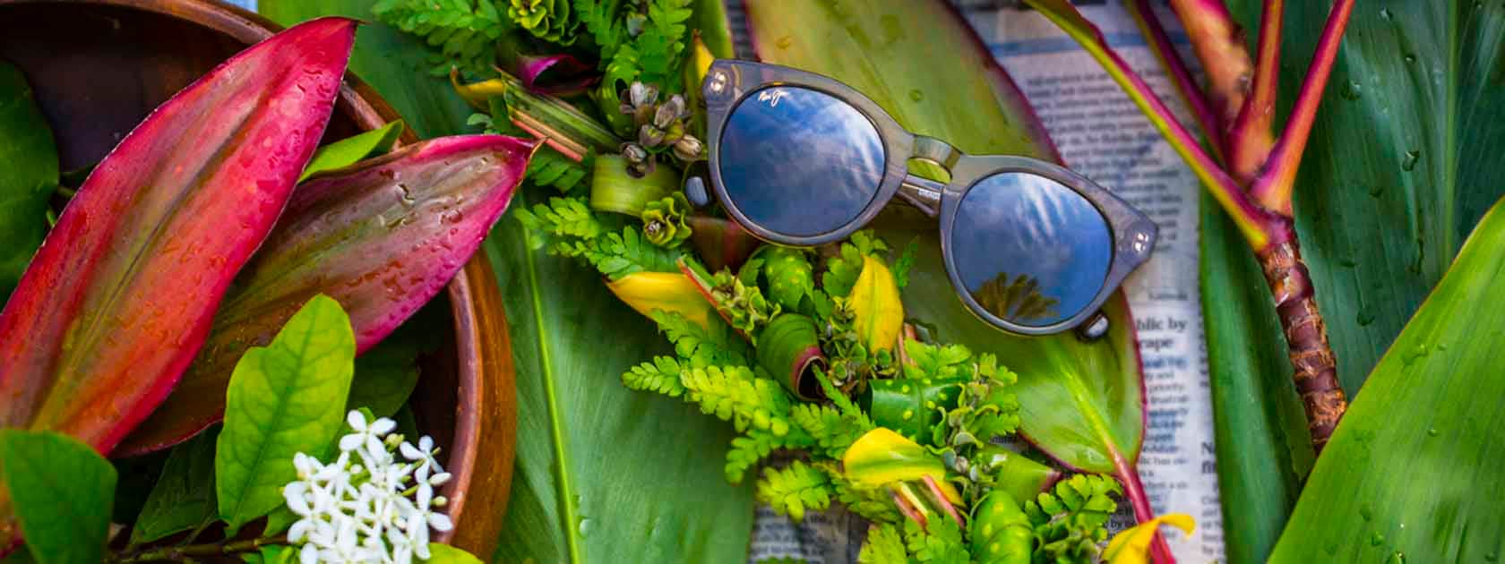 smoke gray frame sunglasses displayed on green and red leaves