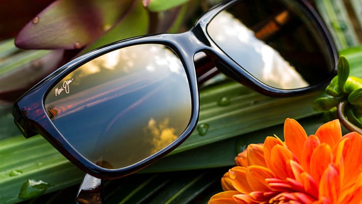 occhiali da sole mostrati sopra ad una foglia di palma verde e a un fiore arancione