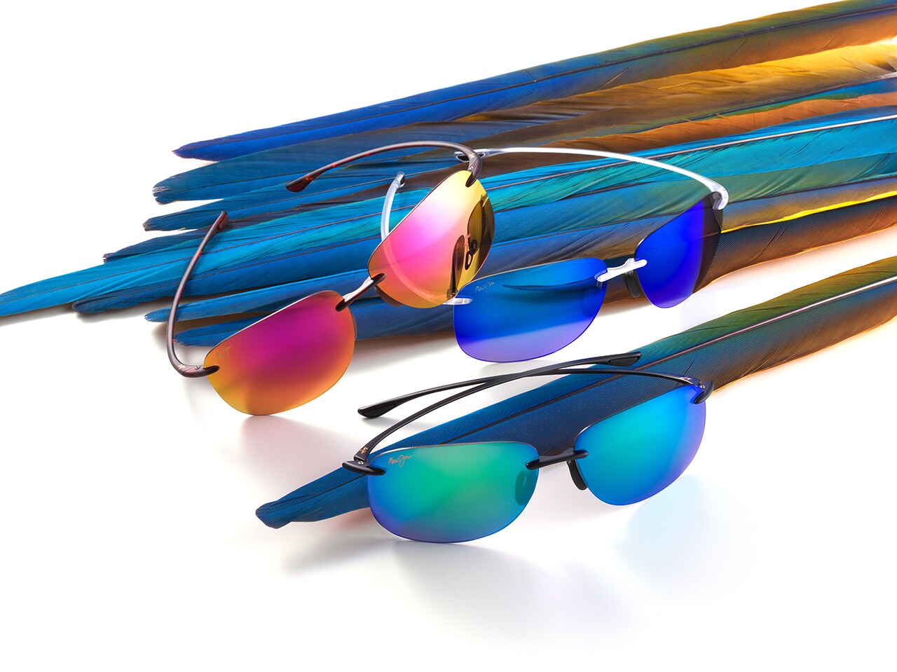 Three sunglasses in front of feathers.