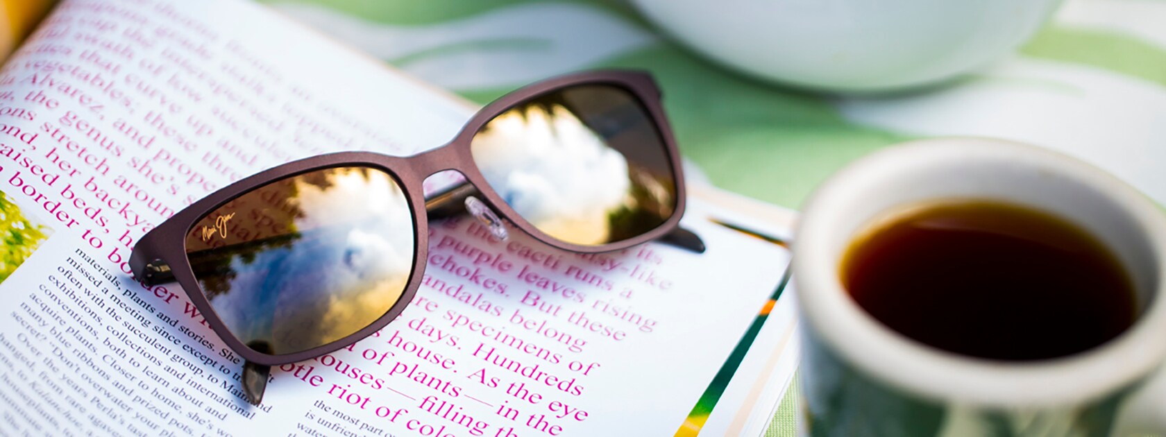 Reading Sunglasses Resting on Book