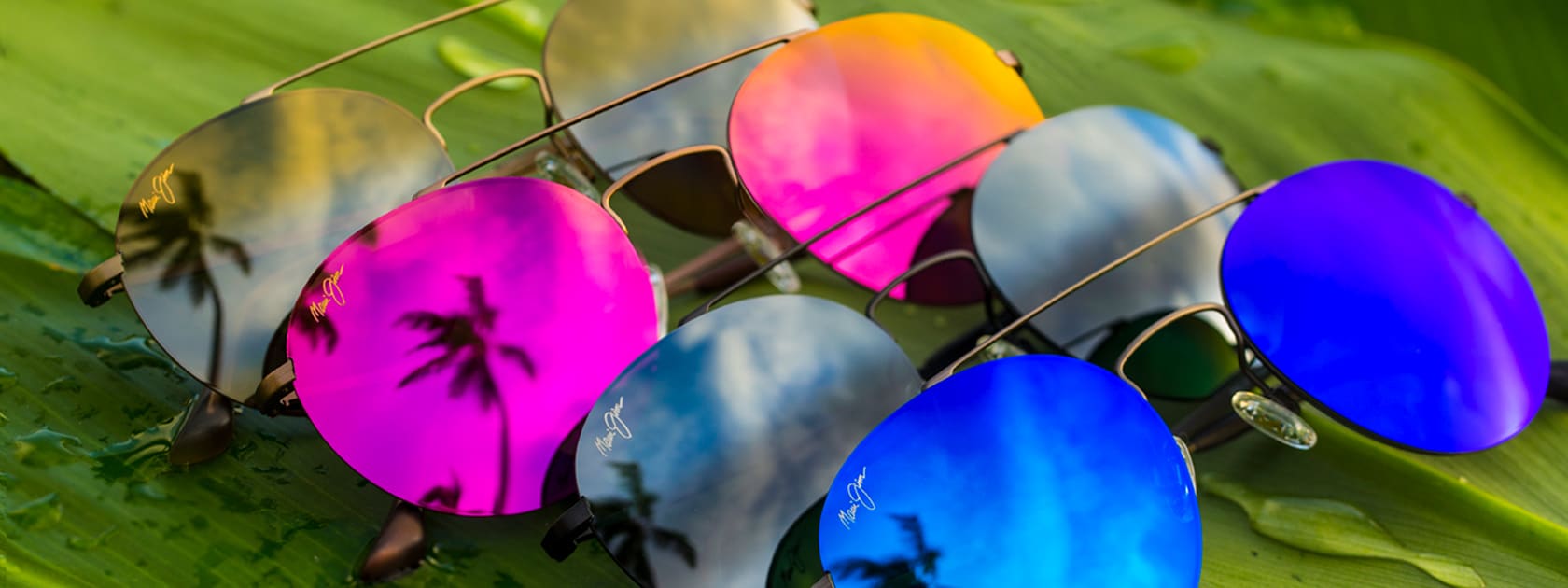 Four pair of Pele's Hair sunglasses sitting on a large leaf.