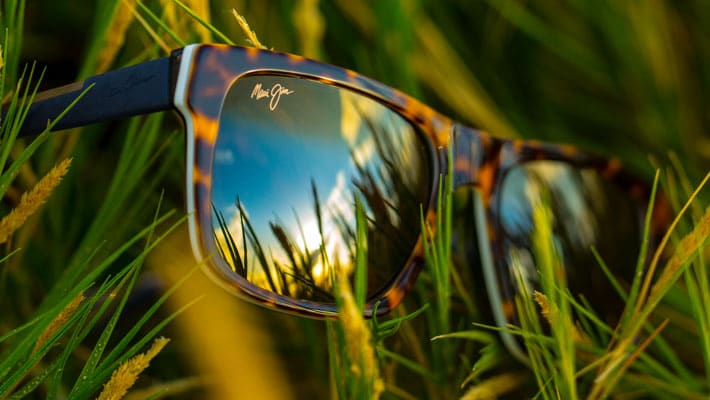 occhiali da sole con montatura tartaruga mostrati sull'erba