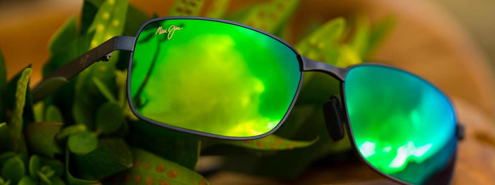 Sonnenbrille mit Metallfassung und spiegelnden grünen Gläsern vor grünen tropischen Blättern