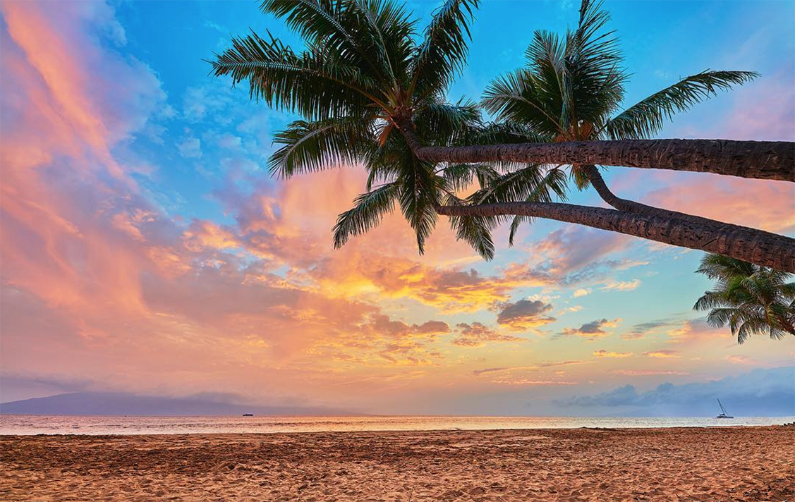Ciel hawaïen et palmiers