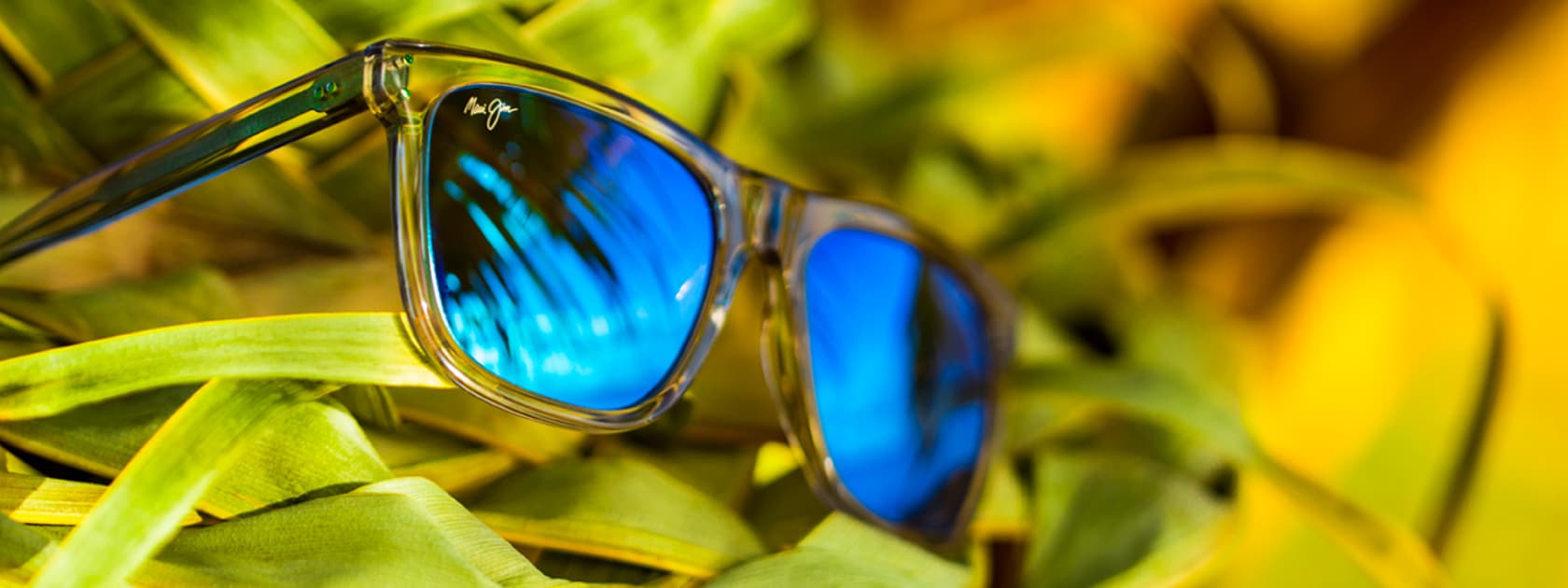 occhiali da sole con montatura trasparente e lenti blu mostrati su foglie di palma verdi